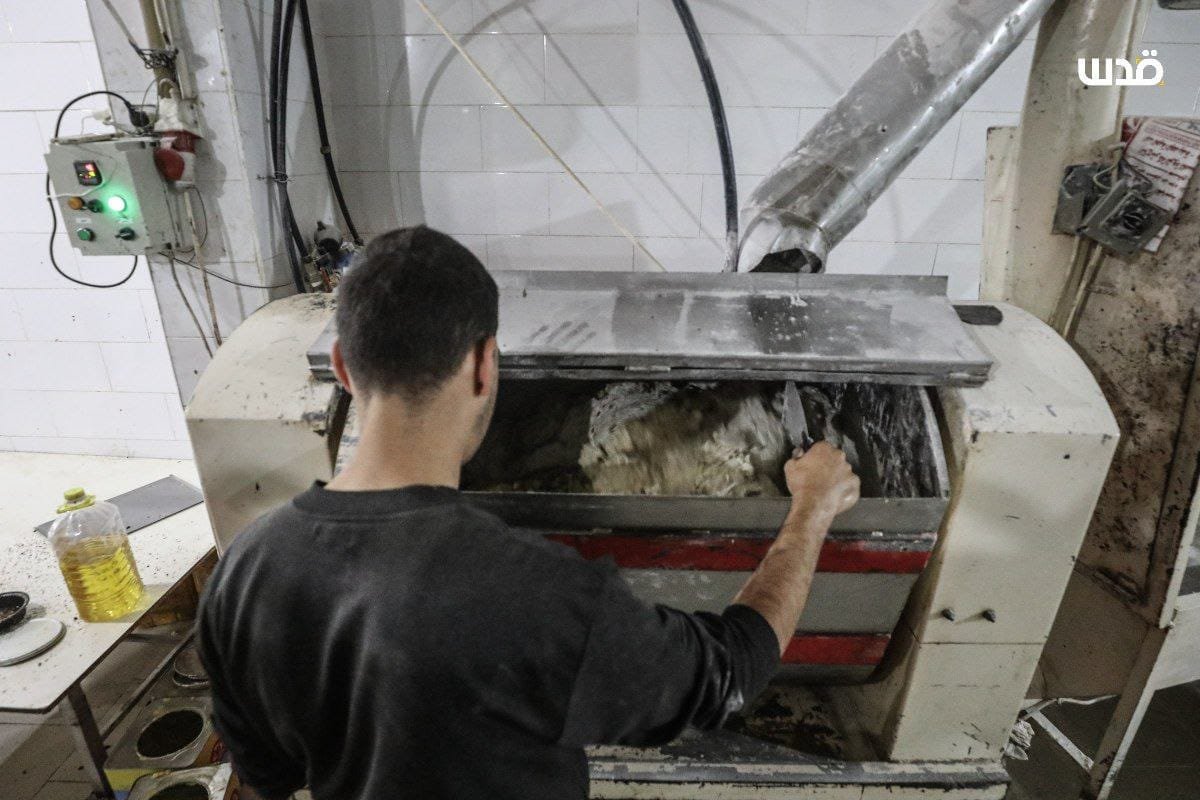 افتتاح مخبز بعد عامين من إغلاقه بسبب الحرب في مخيم النصيرات وسط قطاع غزة.