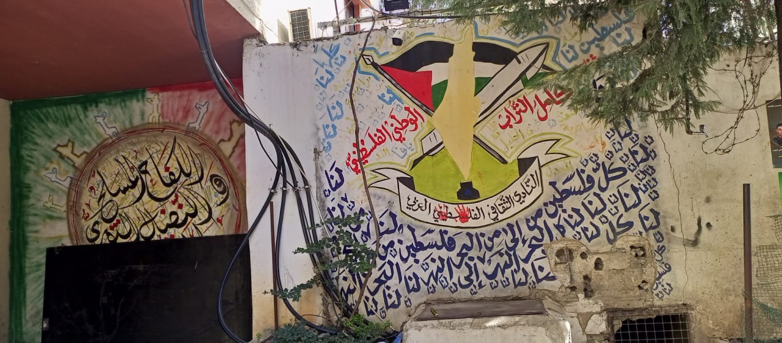 مخيم البداوي /لبنان .. بعدسة مني الخلايلي