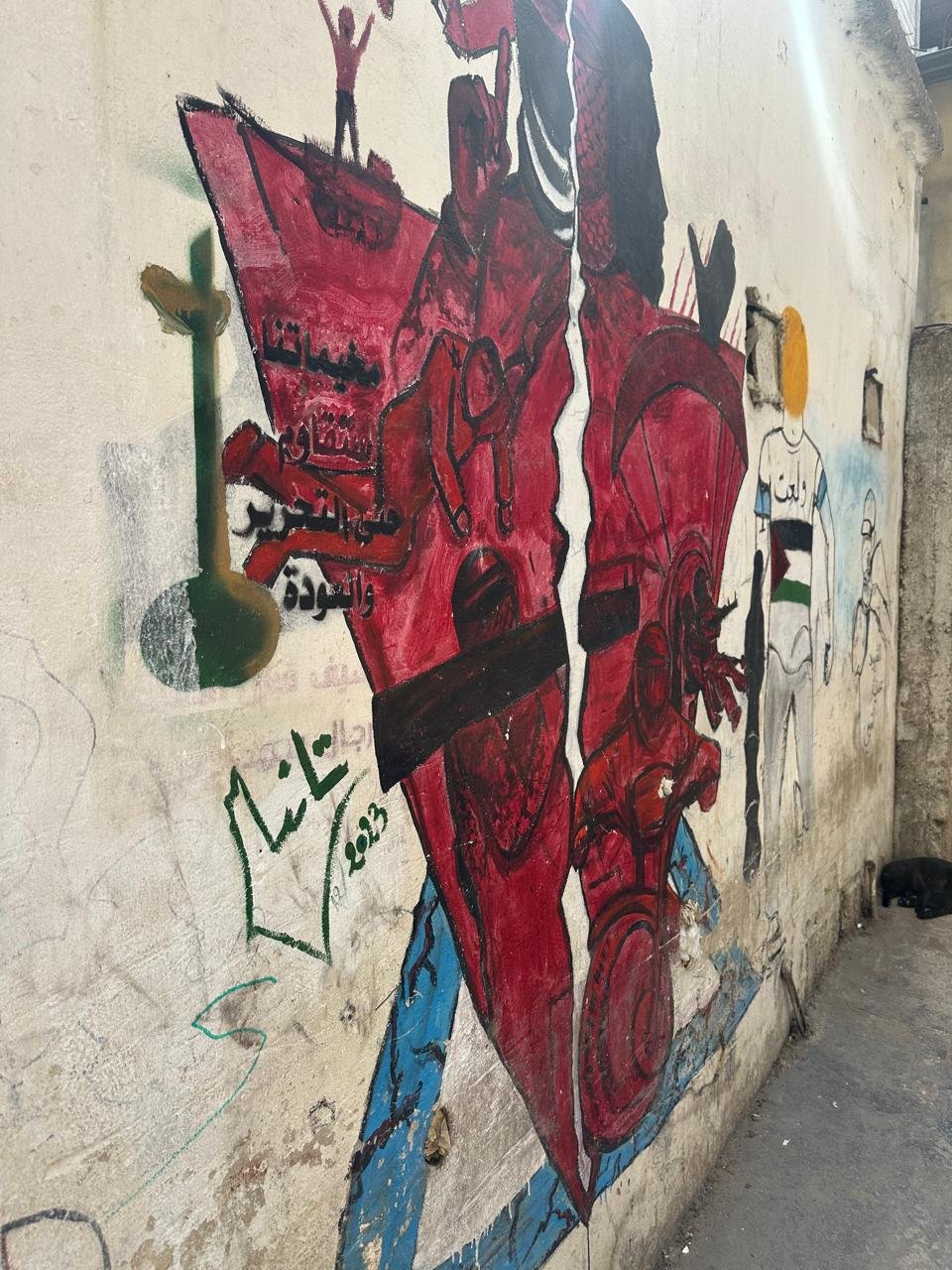 جداريات في مخيم البداوي بعدسة جنين القاضي