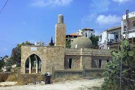 مخيم العرش / عدلون  | موسوعة المخيمات الفلسطينية