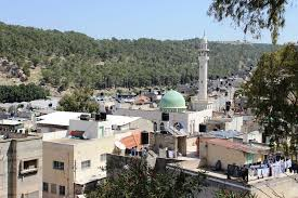 مخيم نور شمس  | موسوعة المخيمات الفلسطينية