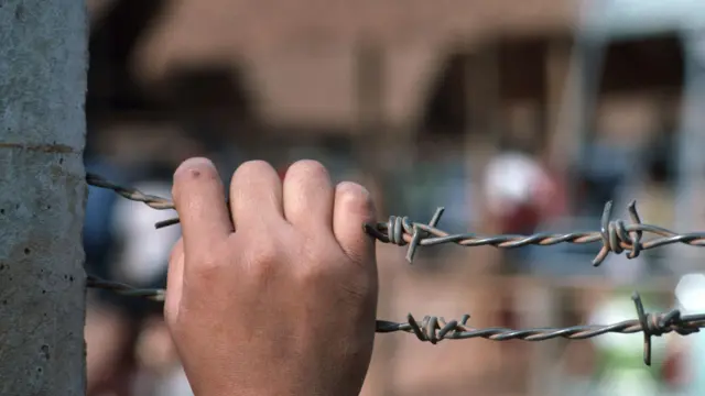 اللاجئون الفلسطنيون  في مصر