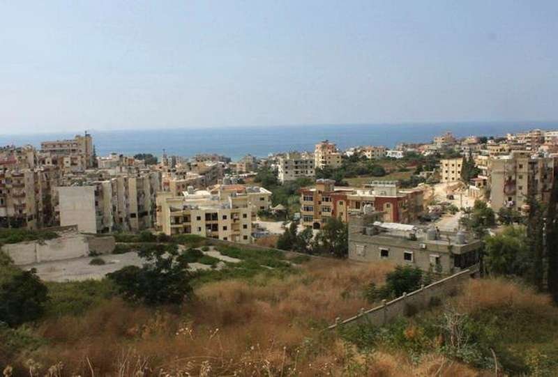 تجمع الناعمة  | موسوعة المخيمات الفلسطينية