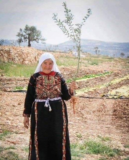 من روائع الشاعر محمود درويش ... عن الصمود
