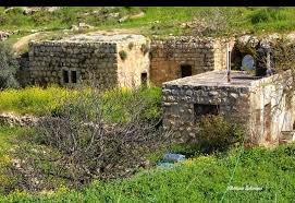 من محمية وادي القف بمنطقة الخليل توجد هالبيوت بعبق الماضي وجمال البيئة