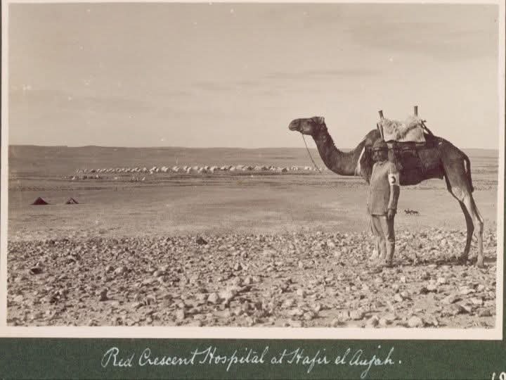 عوجة الحفير  ... ملامح من الوطن