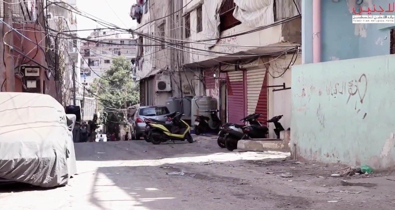 تجمع الداعوق  | موسوعة المخيمات الفلسطينية