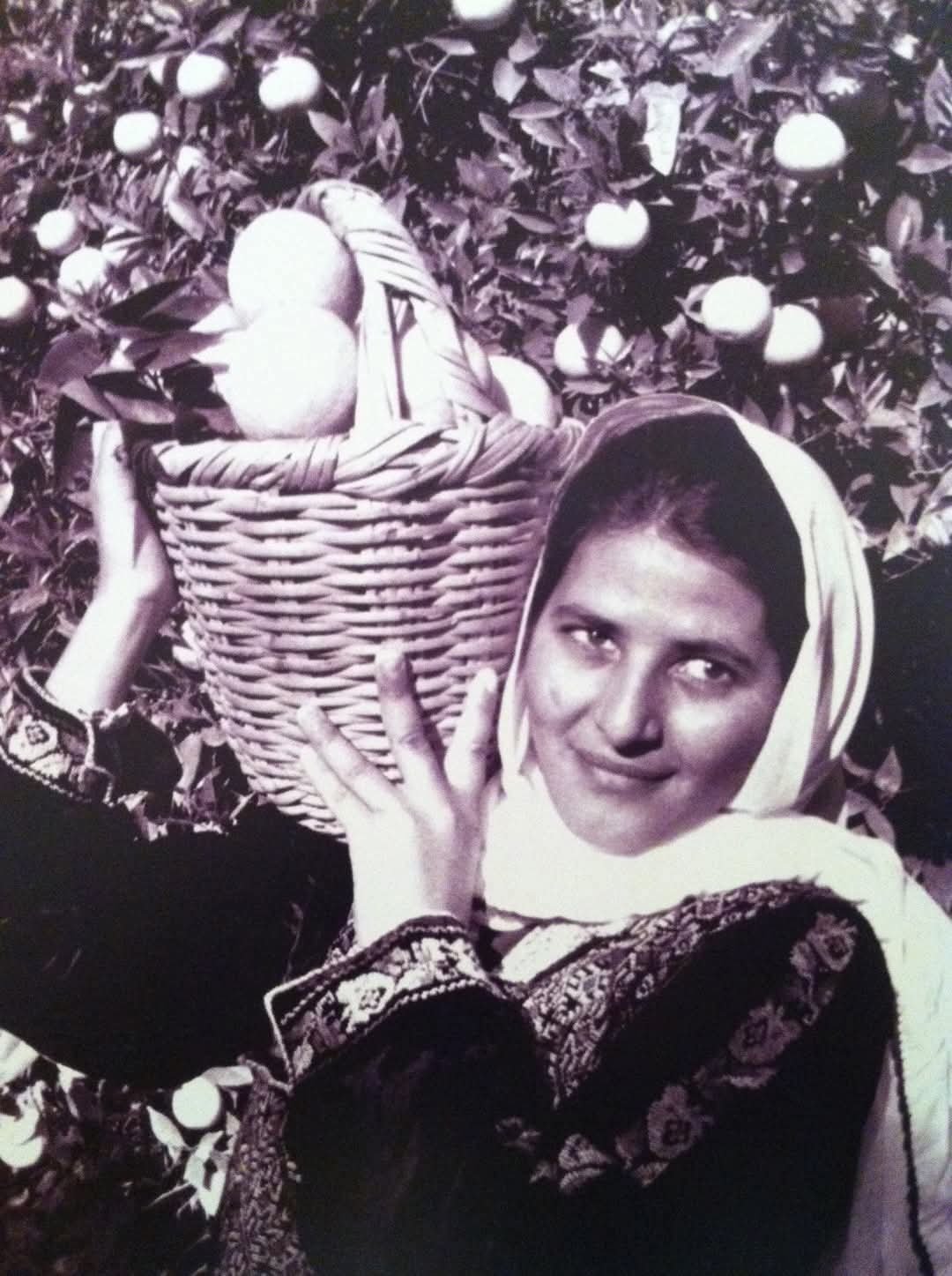 صورة من موسم القطيف في يافا - 1940