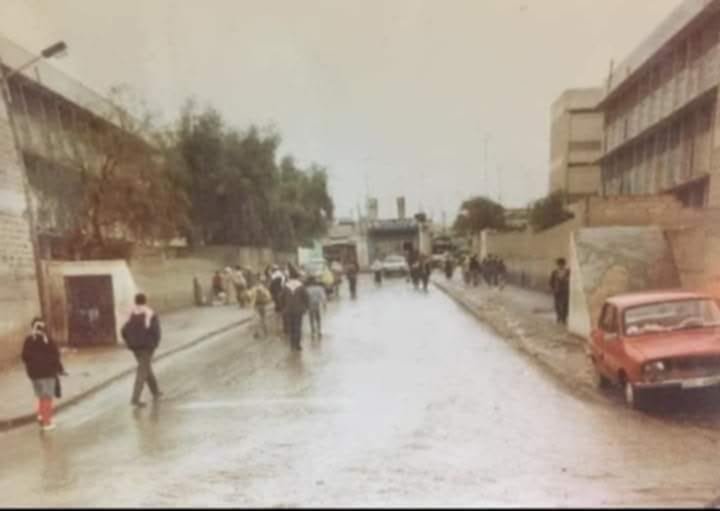 لماذا نحب المخيم