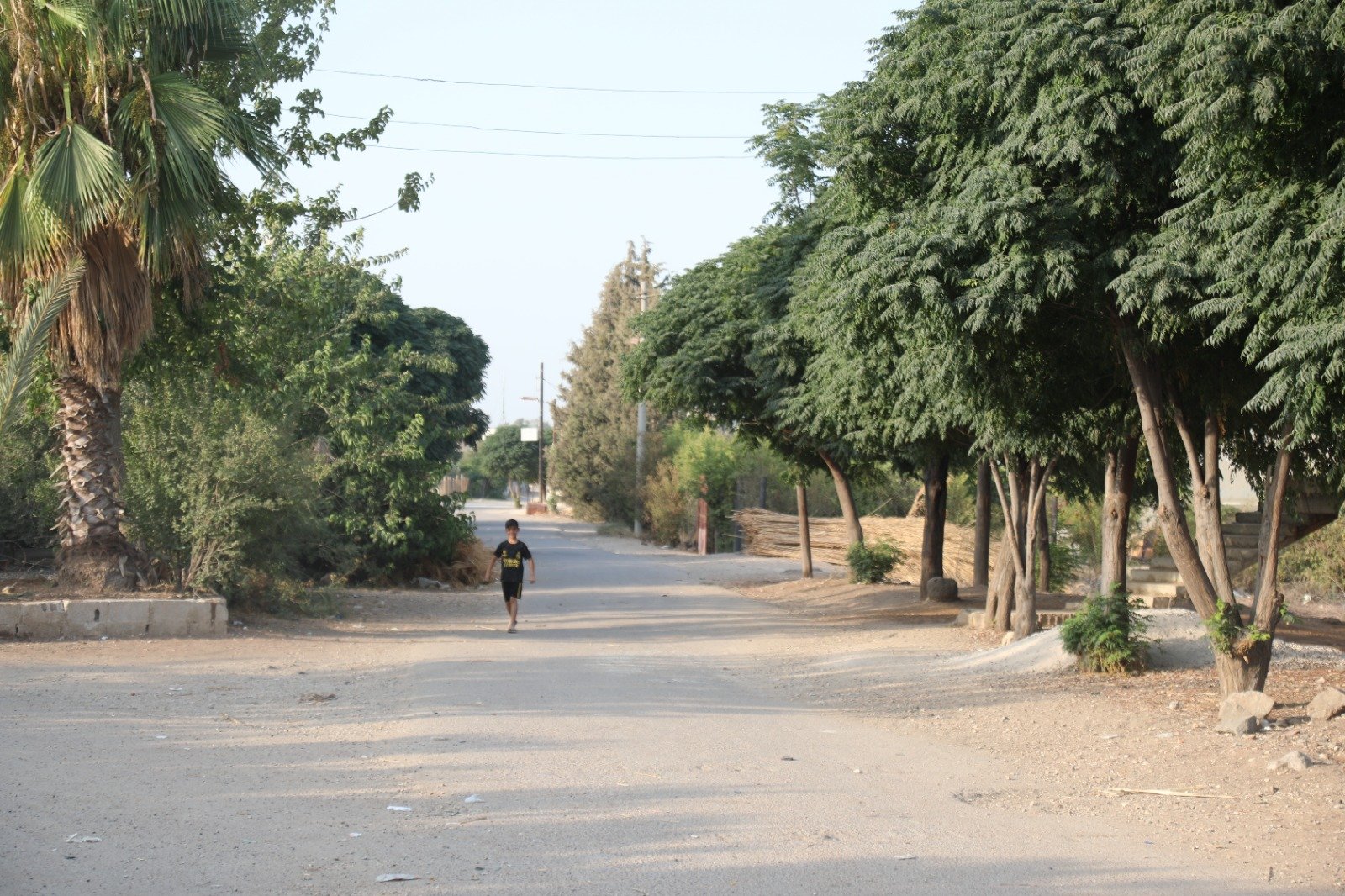 تجمع جلين  | موسوعة المخيمات الفلسطينية