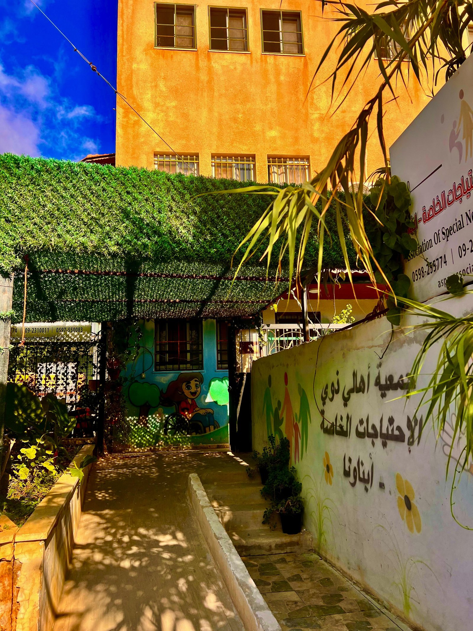 جولة لموسوعة المخيمات الفلسطينية في مخيم عسكر القديم يعدسة منية سلاطنة