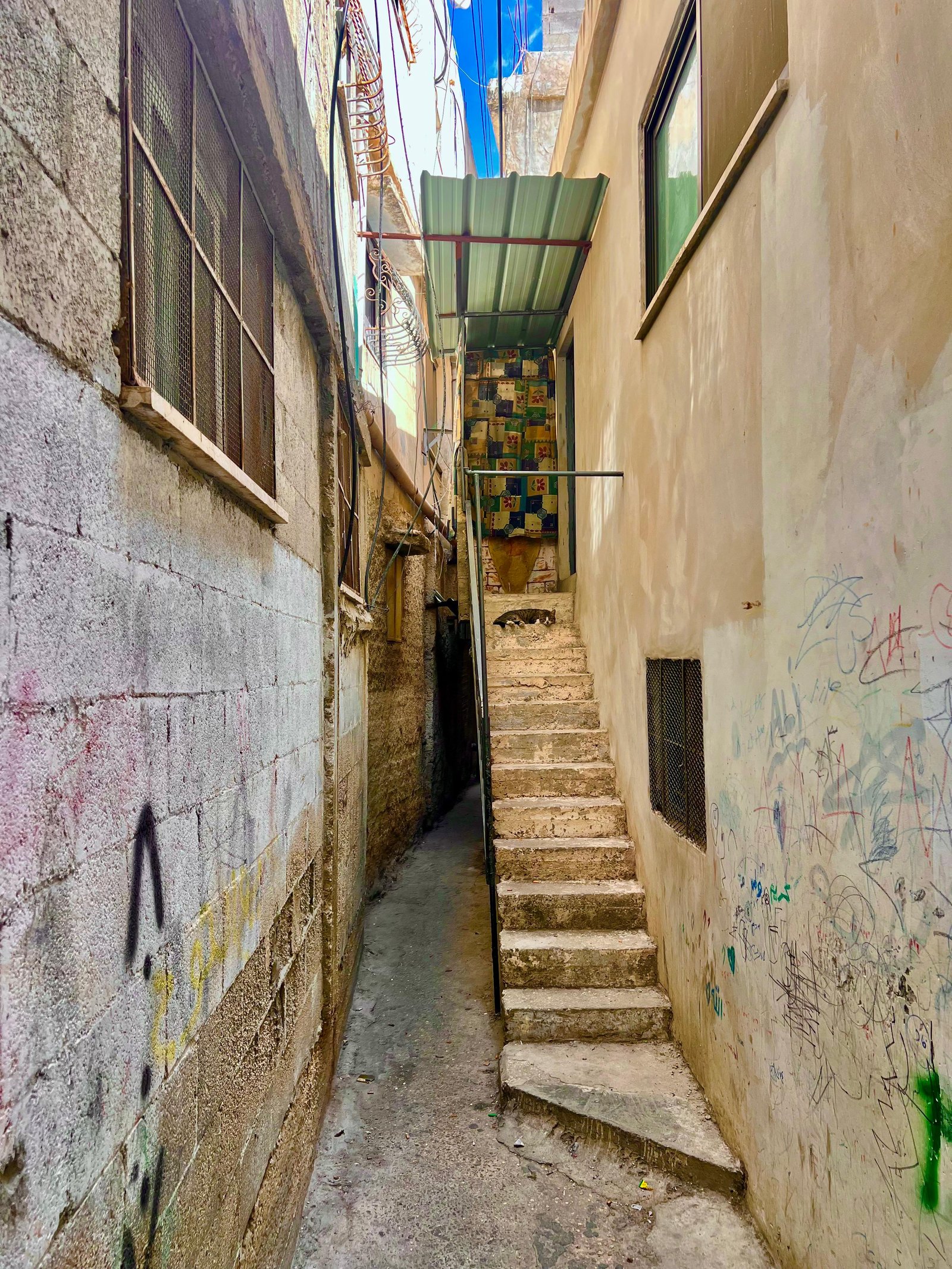 مخيم العين/نابلس خلال جولة توثيقية لفريق موسوعة المخيمات الفلسطينية بعدسة منية سلاطنة