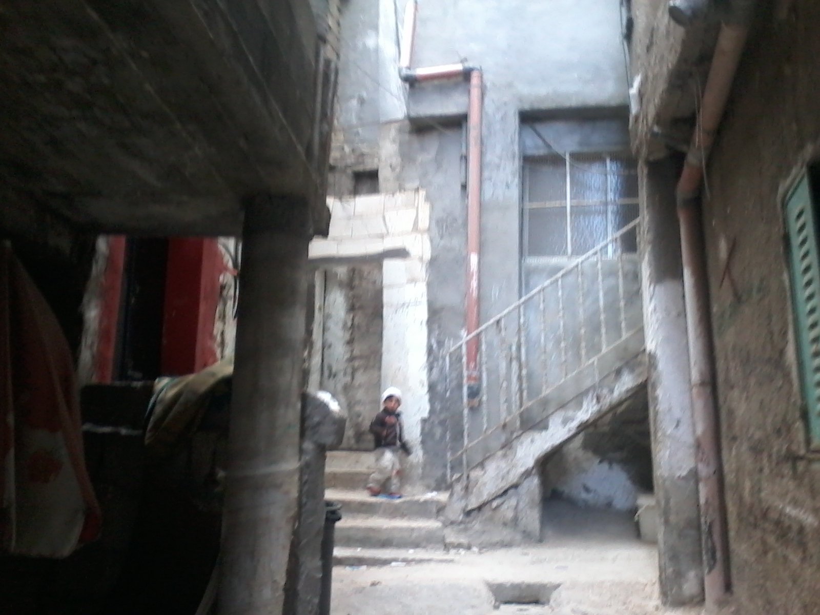 صور مخيم قدورة/ فلسطين