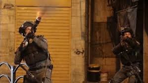 مخيم عين شمس / موسوعة المخيمات الفلسطينية