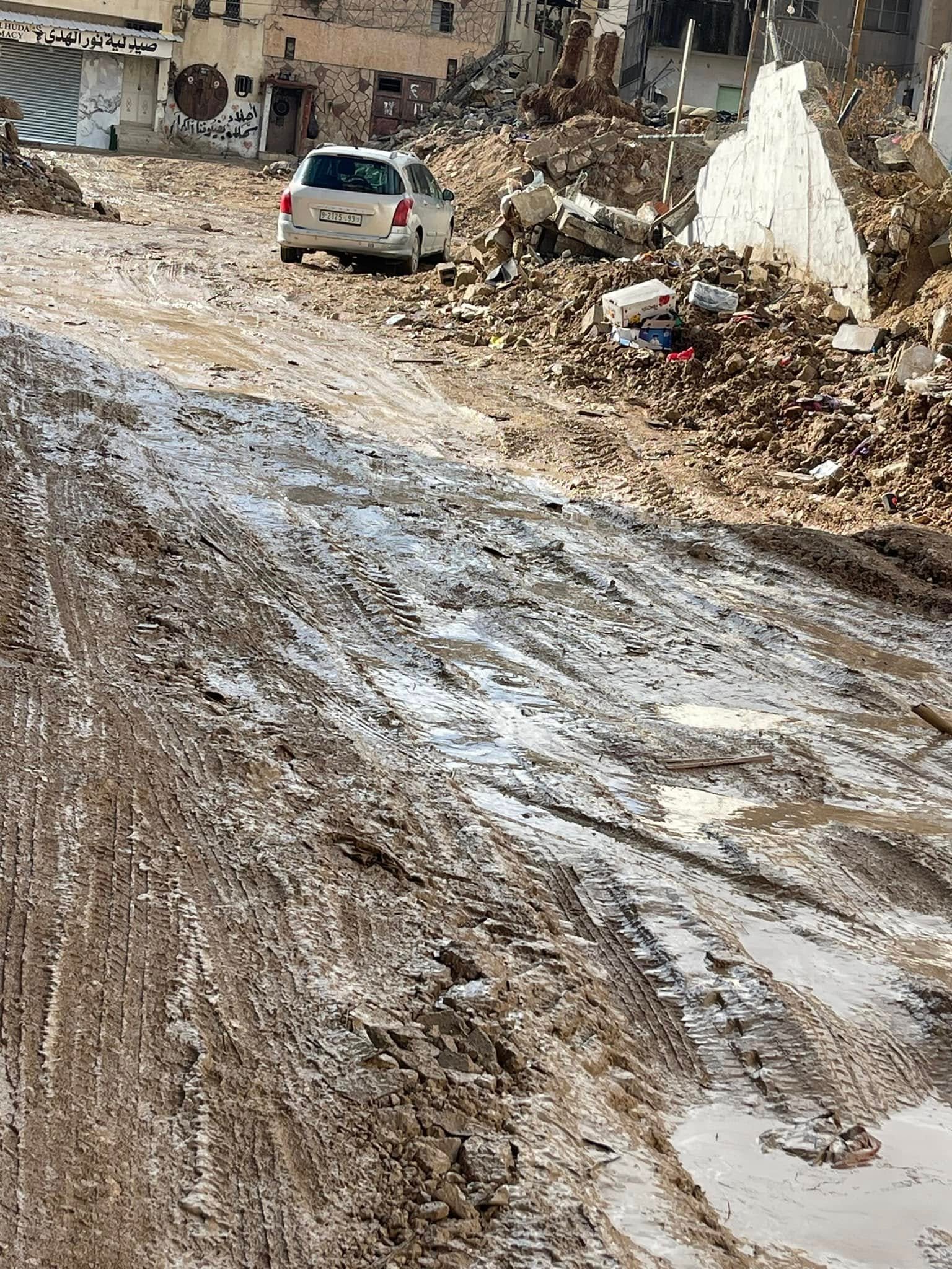 مخيم نور شمس /  موسوعة المخيمات الفلسطينية