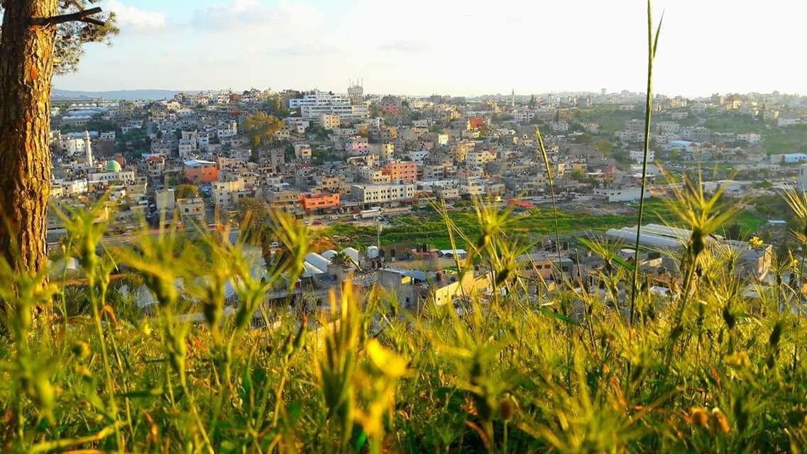 مخيم نور شمس /  موسوعة المخيمات الفلسطينية