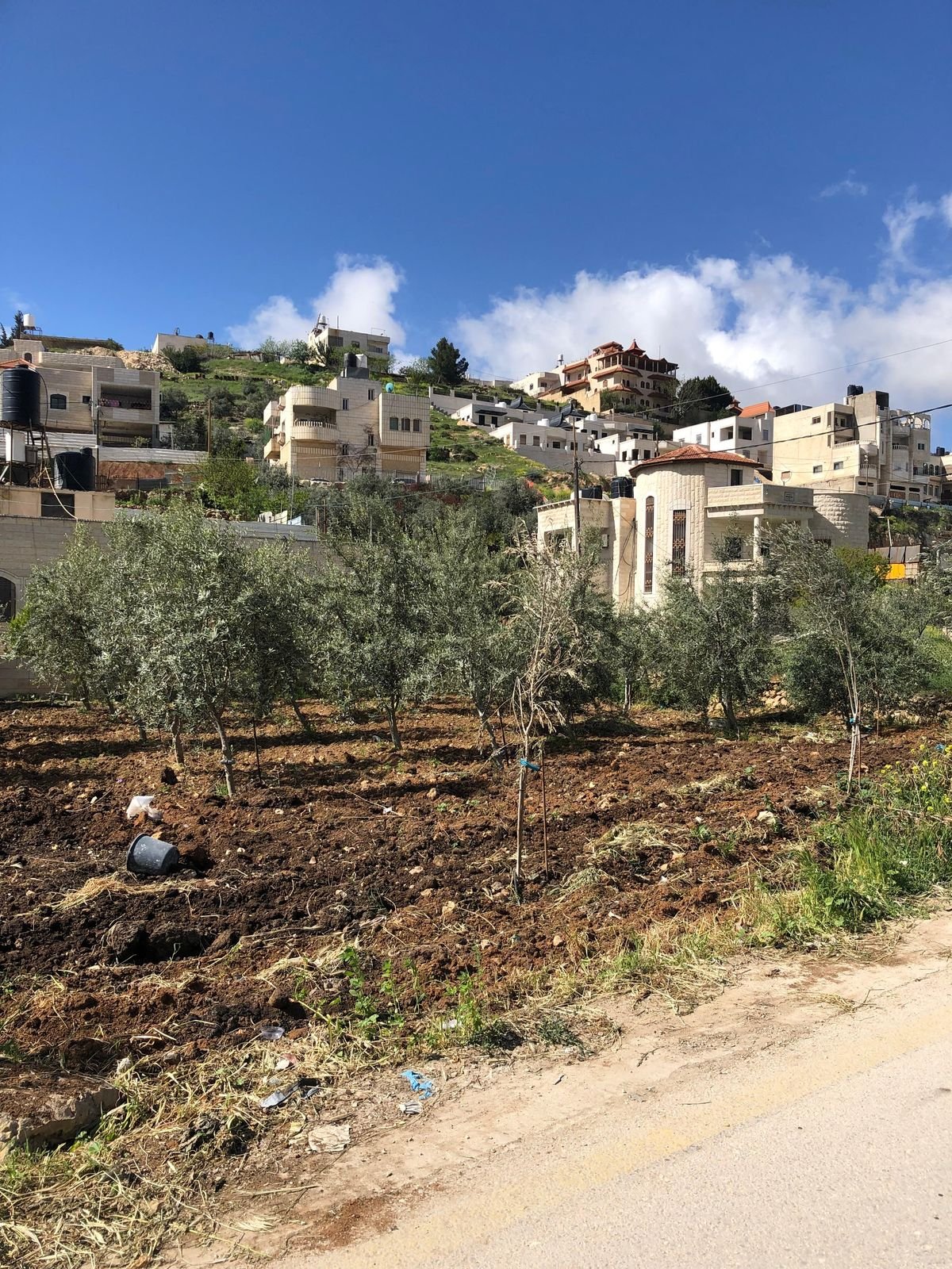 مخيم الفوار - فلسطين. بعدسة م. معتز  سراحنة