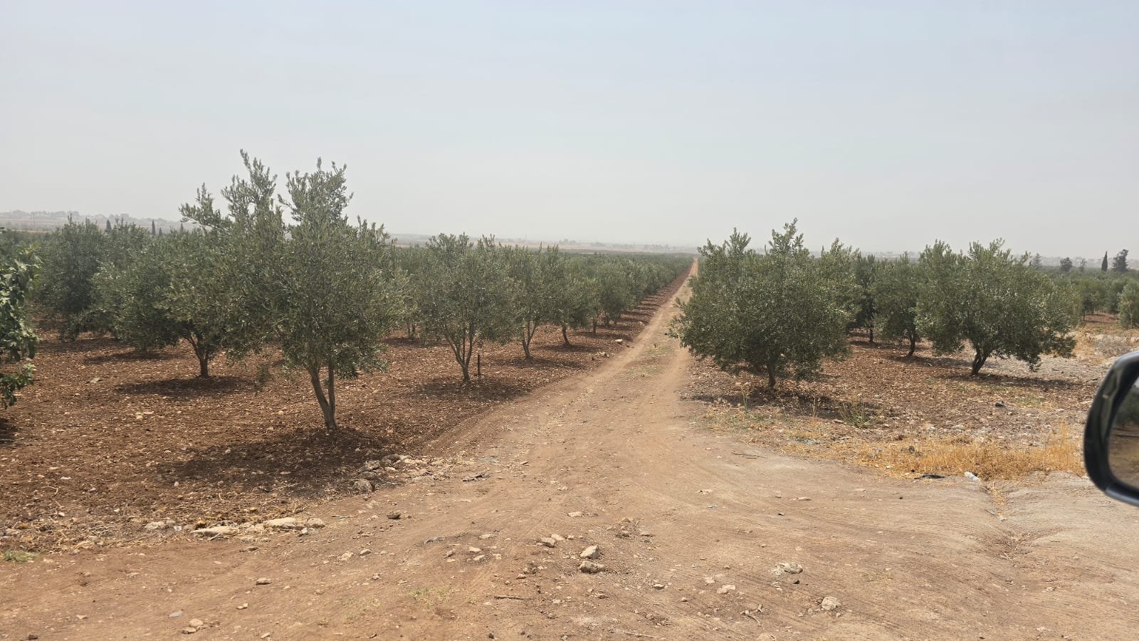 تجمع الطبريات / درعا