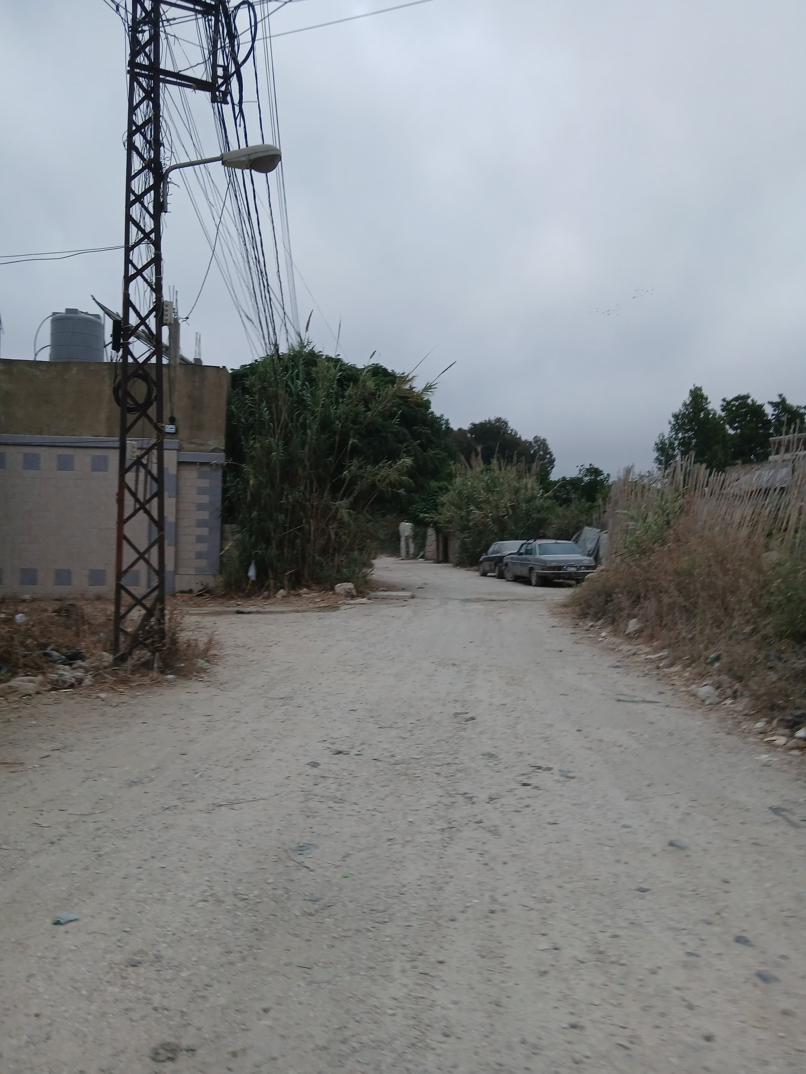 مخيم نهر البارد/ تصوير جنين القاضي