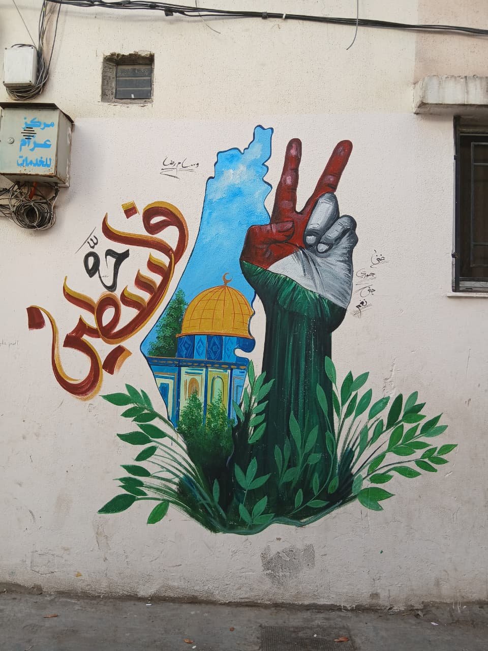 حي البروة-مخيم نهر البارد... تصوير جنين القاضي