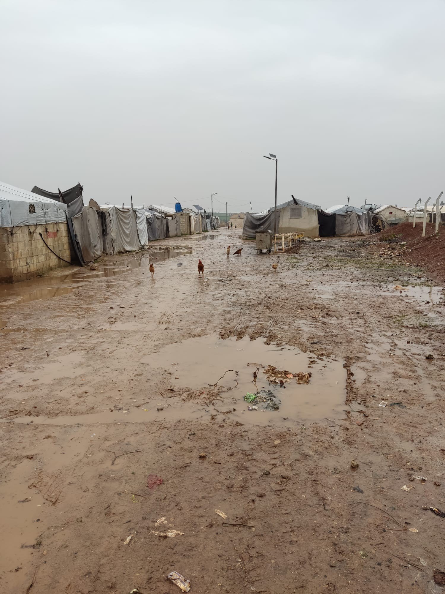 مخيم دير بلوط في الشمال السوري